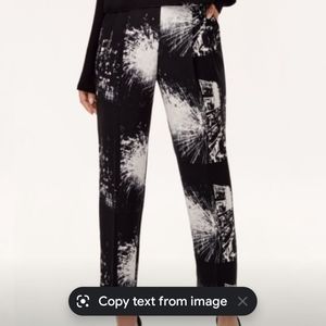 Aritzia Babaton Cohen pants
